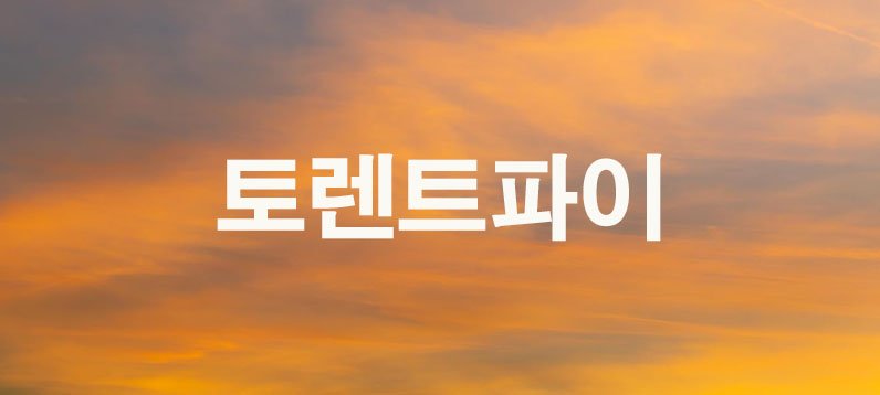 토렌트파이